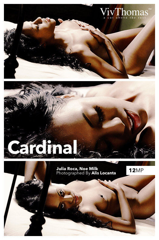 [VivThomas] Julia Roca, Noe Milk - Cardinal